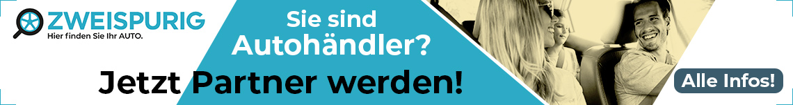 Leistungsübersicht für Autohändler