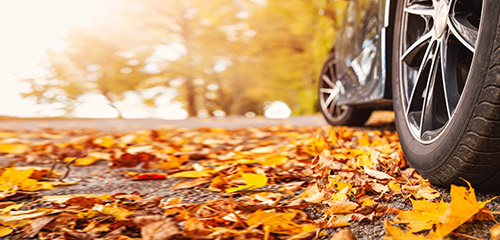 Von der richtigen Autopflege bis zum Technik-Check: Mit dem Auto in den Herbst